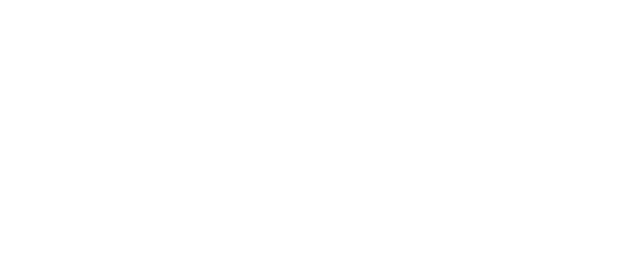 Silver Dollar Saloon